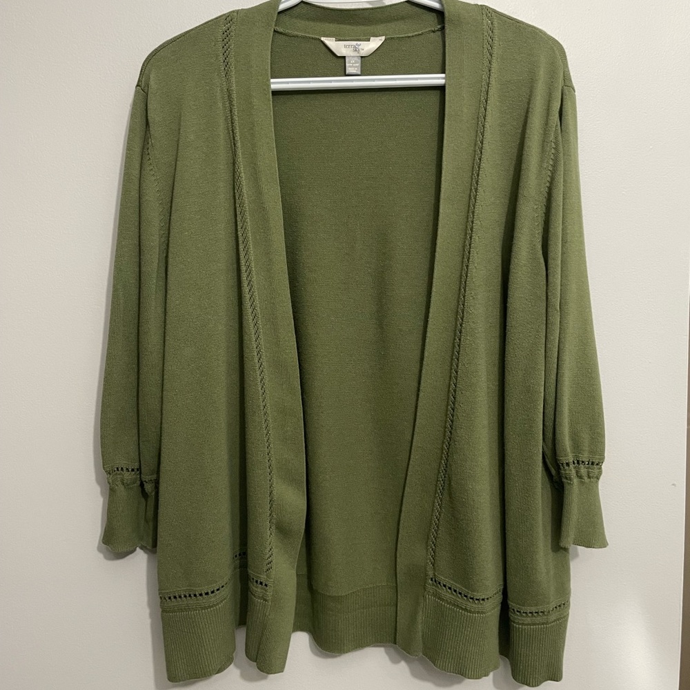 Terra & Sky Woman’s 2X (20W -22W) Green (Bay Leaf) Sweater
